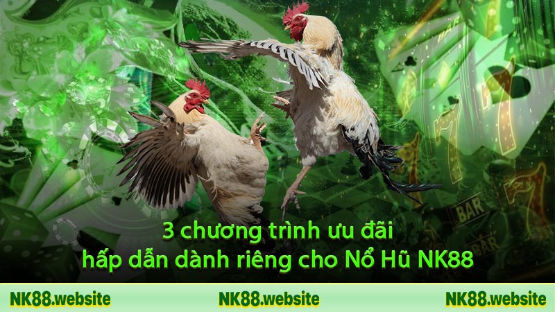 Khám phá chuyên mục Đá Gà NK88