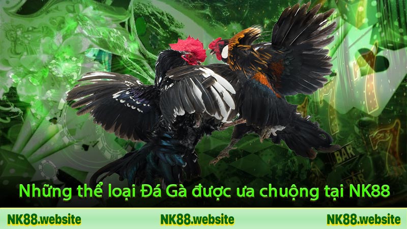 Những thể loại Đá Gà được ưa chuộng tại NK88